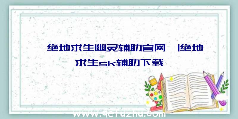 「绝地求生幽灵辅助官网」|绝地求生sk辅助下载